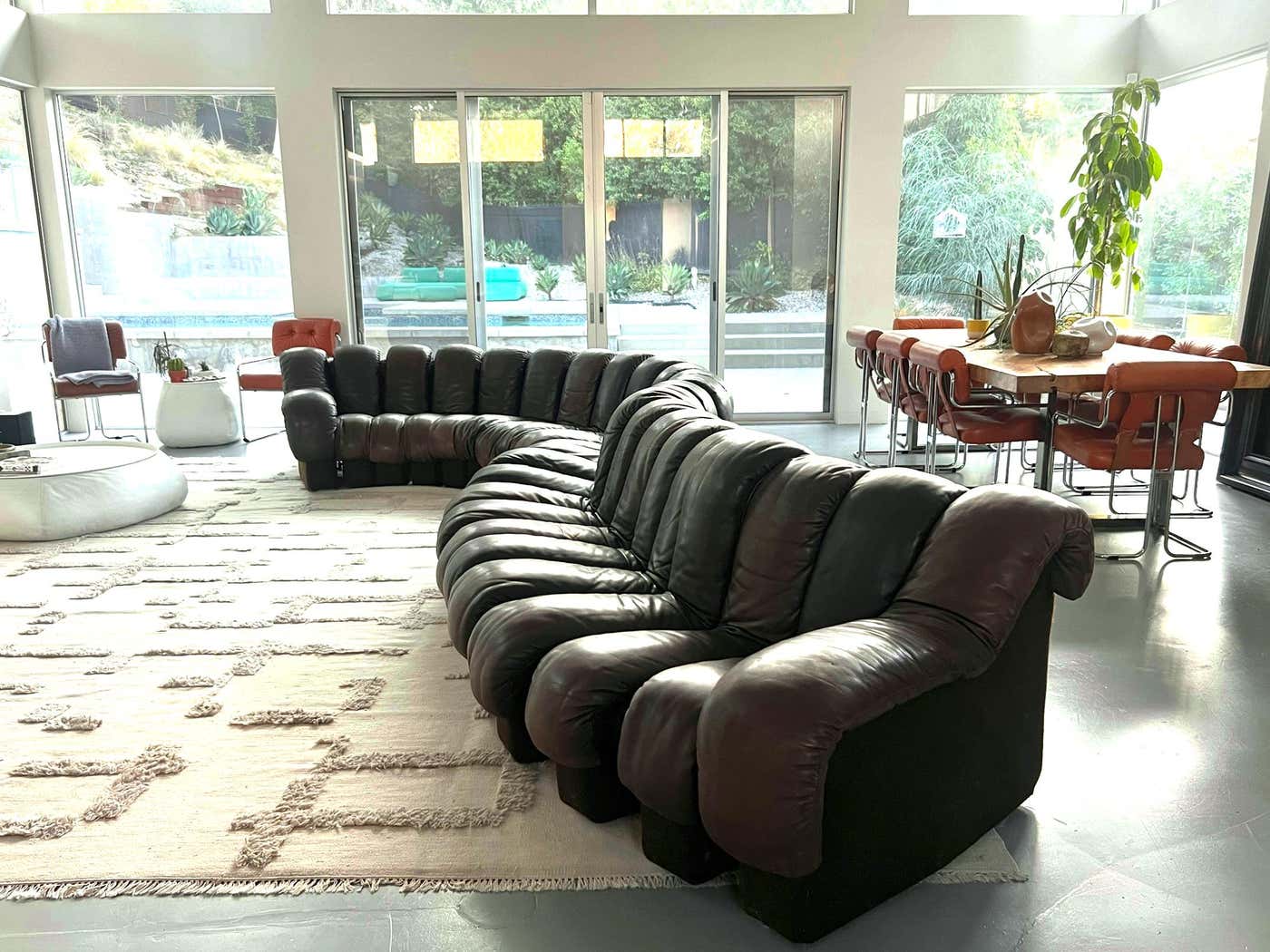 De Sede DS600 Dark Chocolate Brown Leather 23 Piece Non-Stop Snake Sofa, 1960's